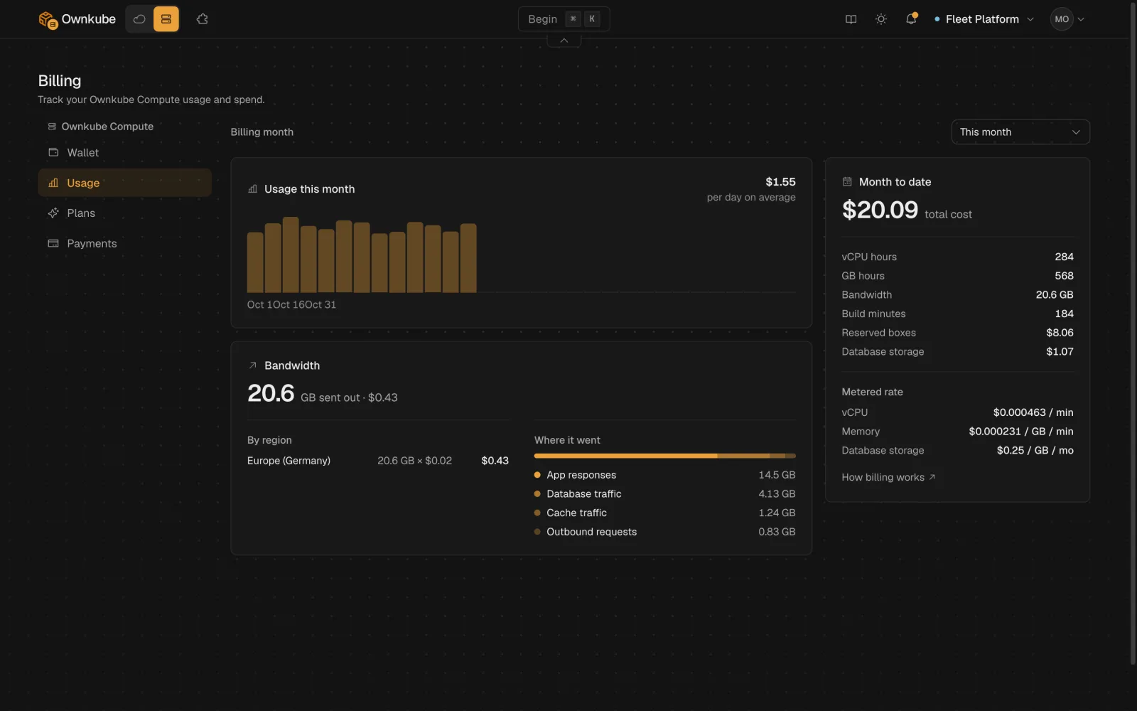 Screenshot of the Usage section listing vCPU hours, GB hours, reserved boxes, database storage, build minutes and bandwidth for the month
