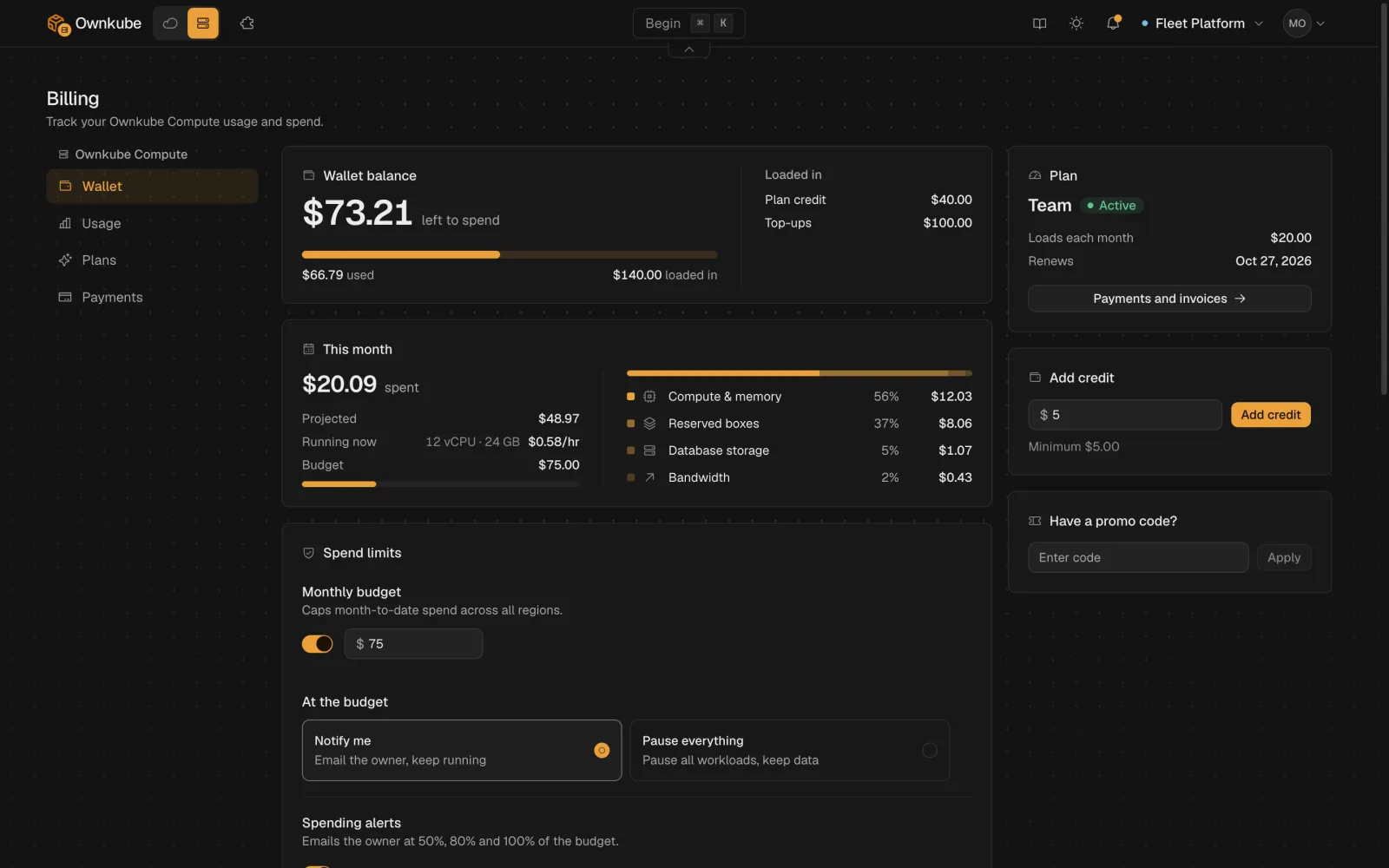 Screenshot of the Billing page showing the wallet balance, this month's running and projected cost, and the budget