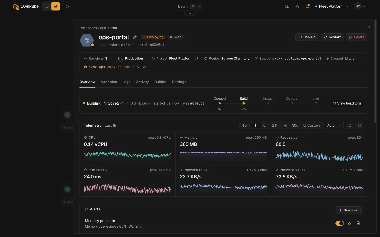 Screenshot of a web app's Overview tab showing a healthy status, the public hostname, CPU and memory charts and the Alerts card